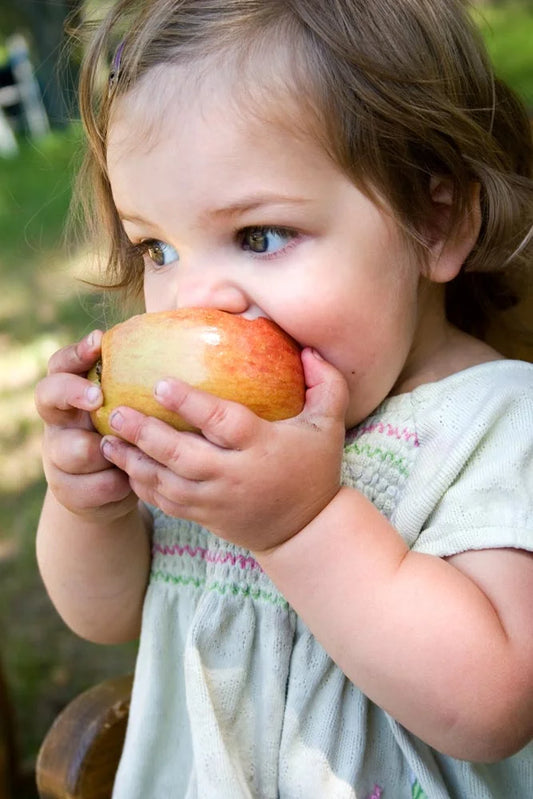 Toddlers : Nutrition