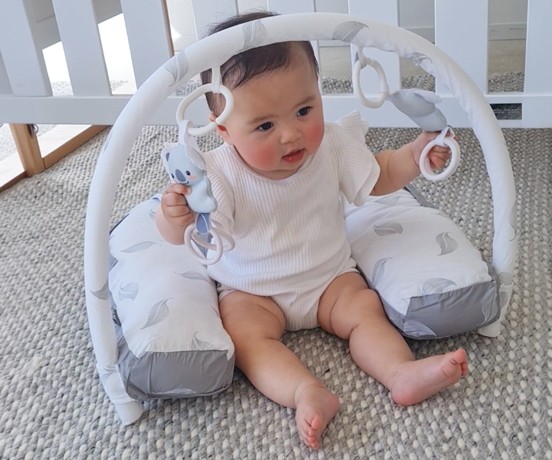 Babyhood Organic Nursing Pillow with Toybar