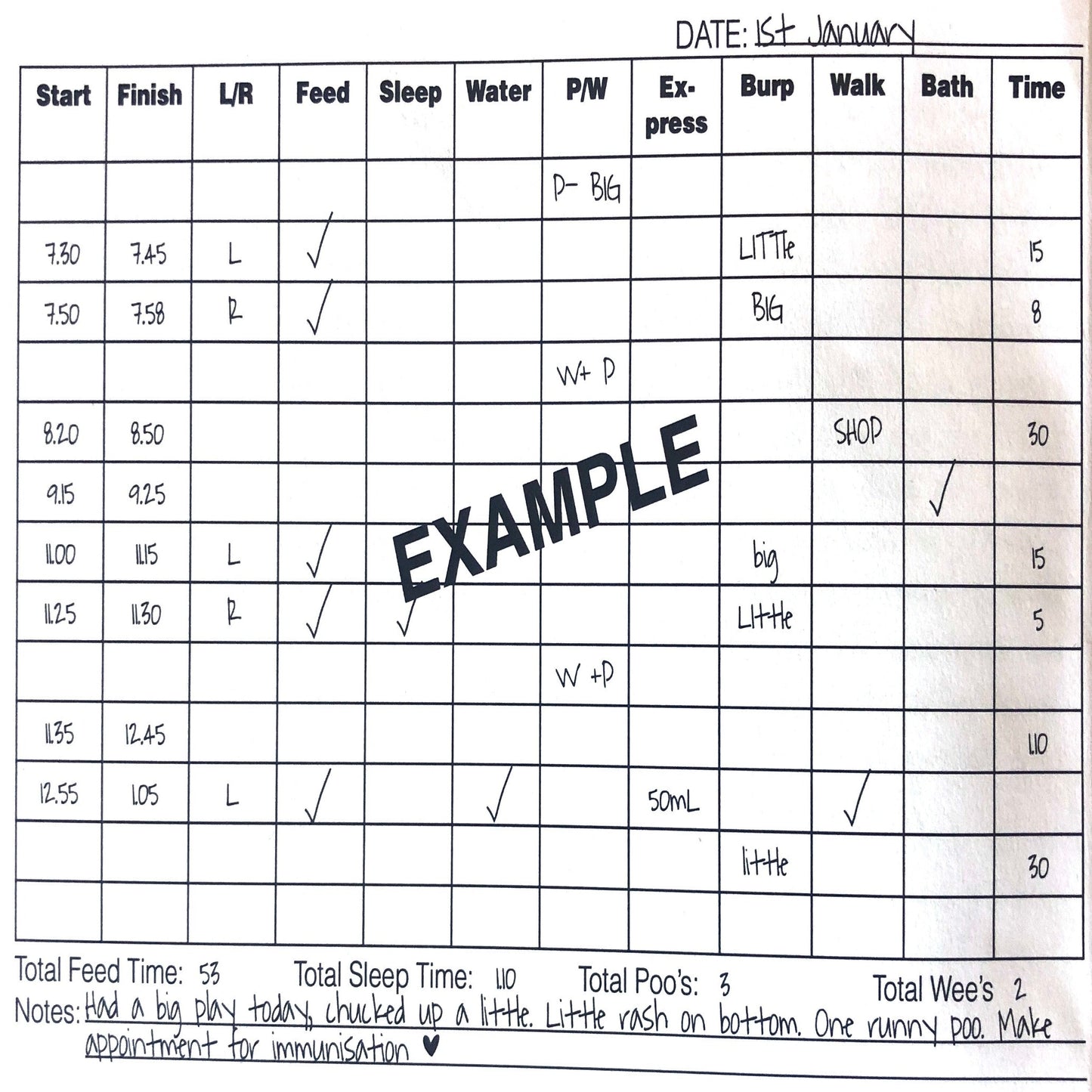 The Phoenix Diary Book