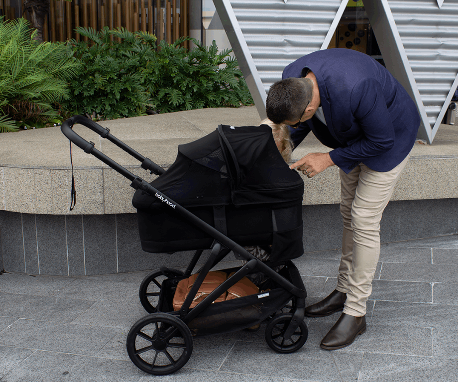 Babyhood Doppio Plus Stroller Single Seat