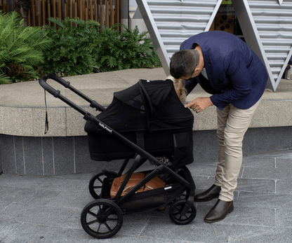 Babyhood Doppio Plus Stroller Single Seat
