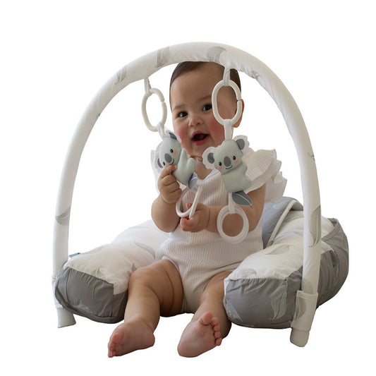 Babyhood Organic Nursing Pillow with Toybar