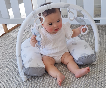 Babyhood Organic Nursing Pillow with Toybar